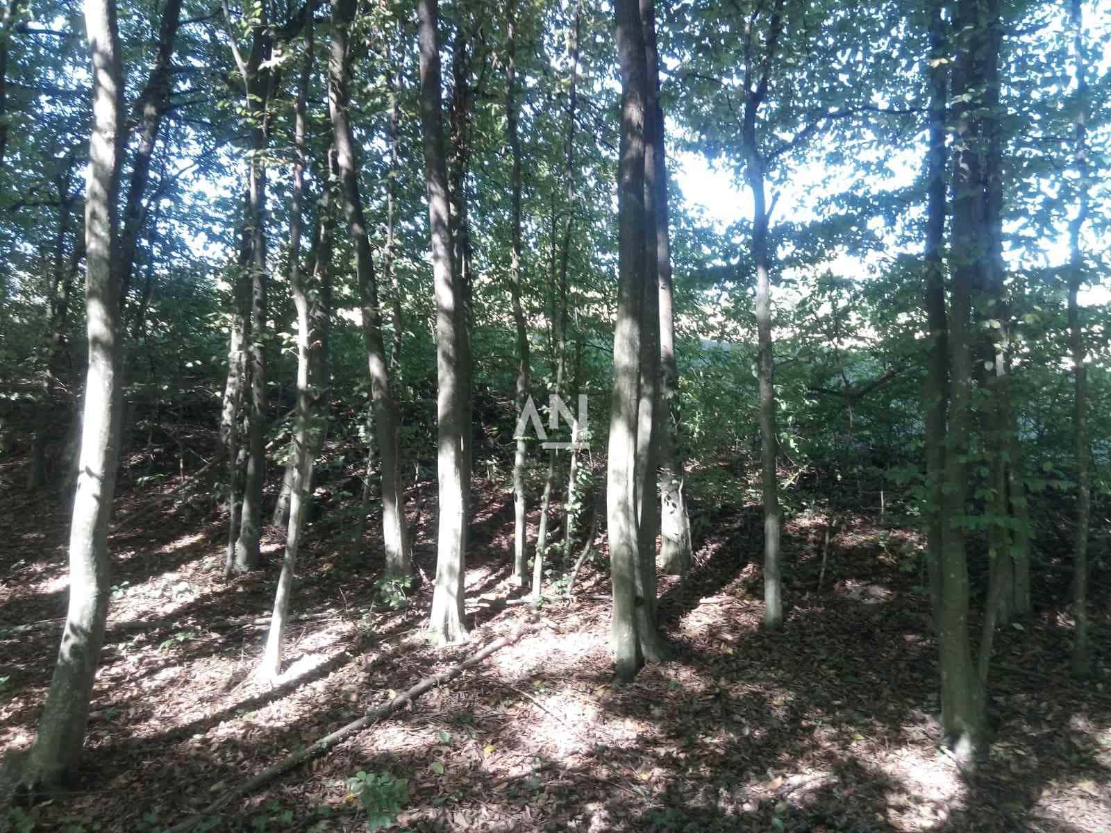 IMG-2a3e872ddd6112dace05214510b68d83-V