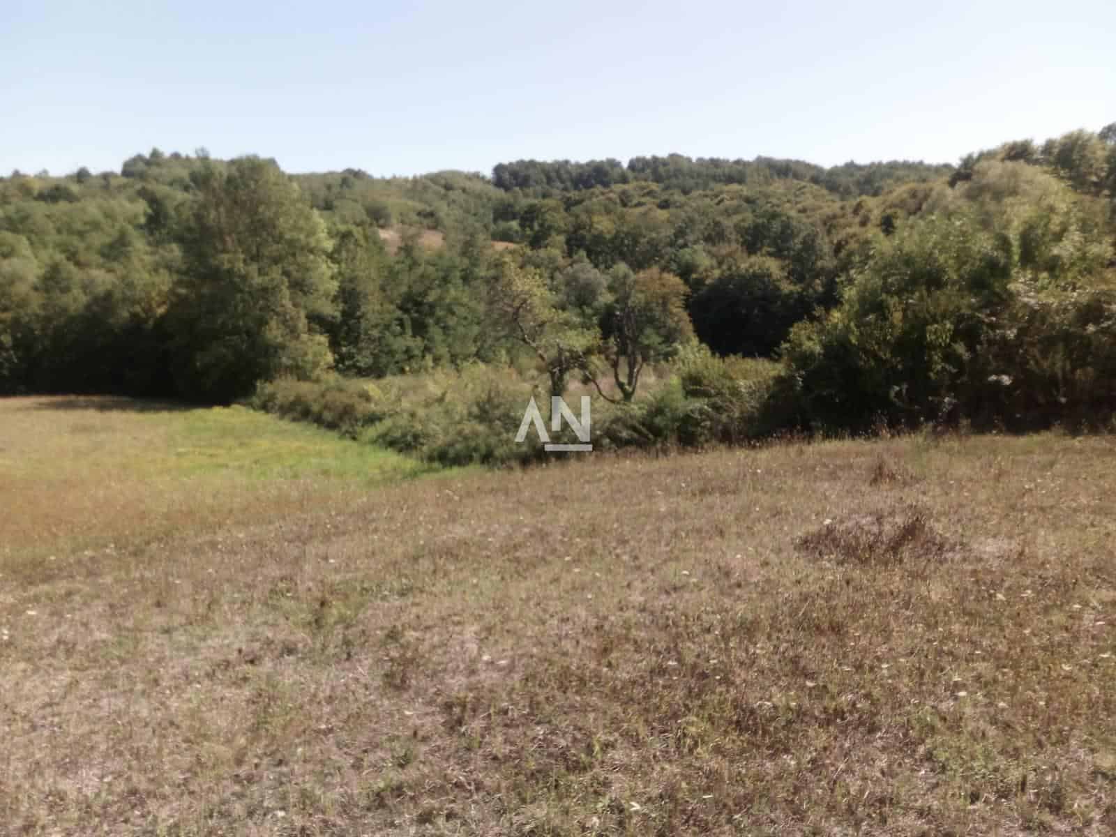 IMG-81c18597c6fc88305d733f2d0d6d68eb-V