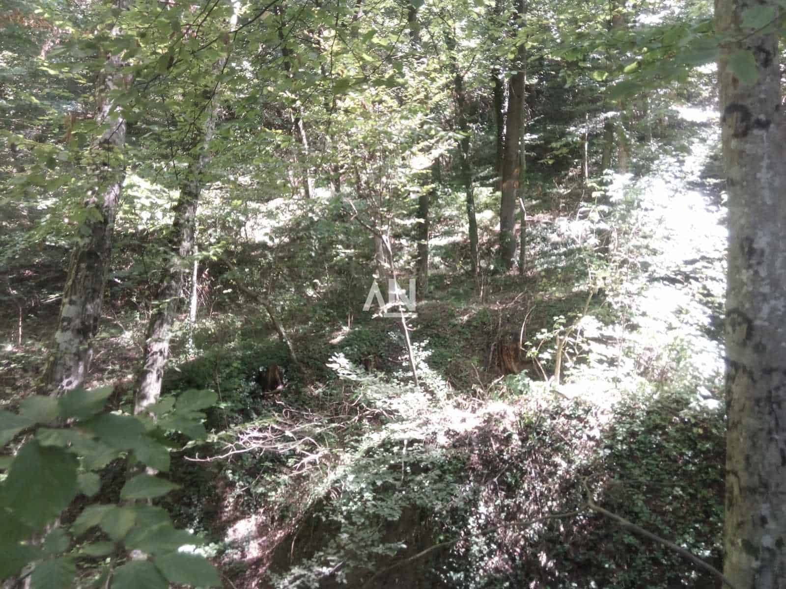 IMG-f412697a1de9e44de1fb01d19fe97fac-V