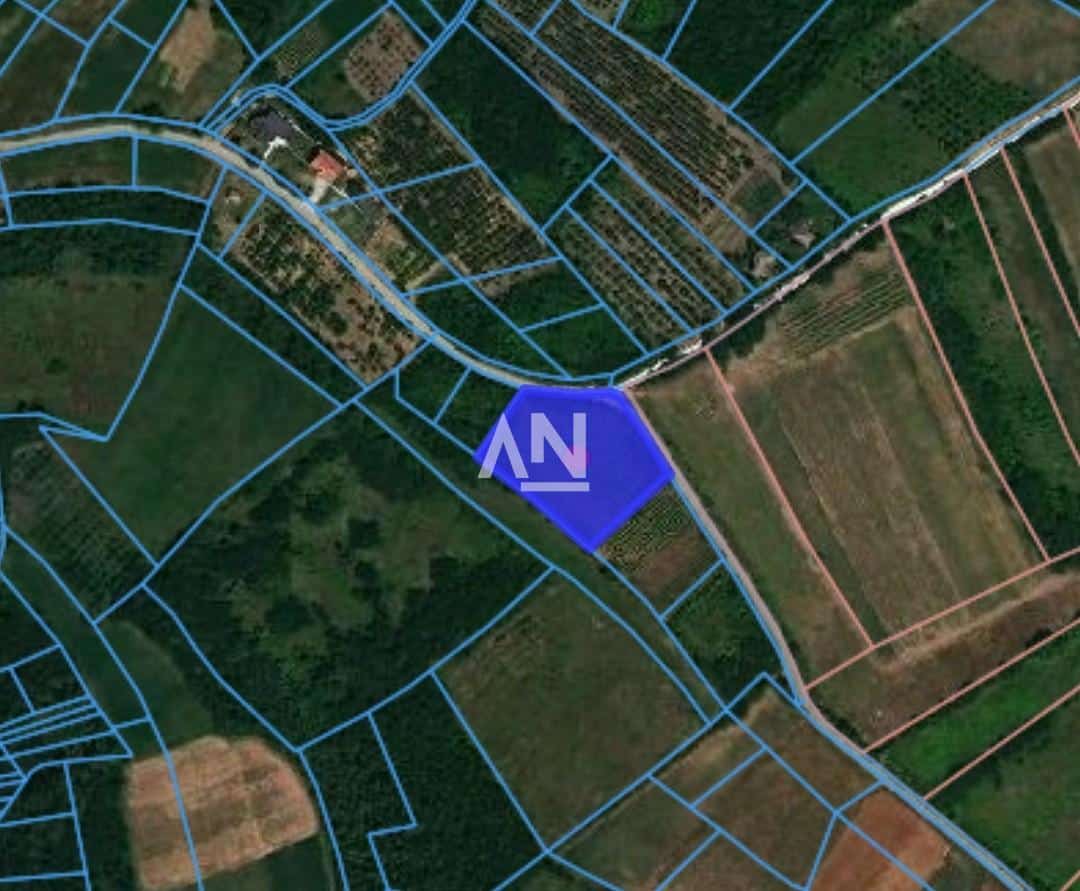 Screenshot_2023-09-20-21-32-46-313_rs.geosrbija.geosrbija~2