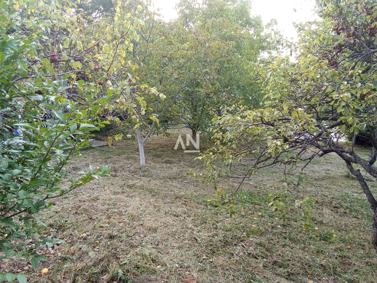 IMG-20240805-WA0002