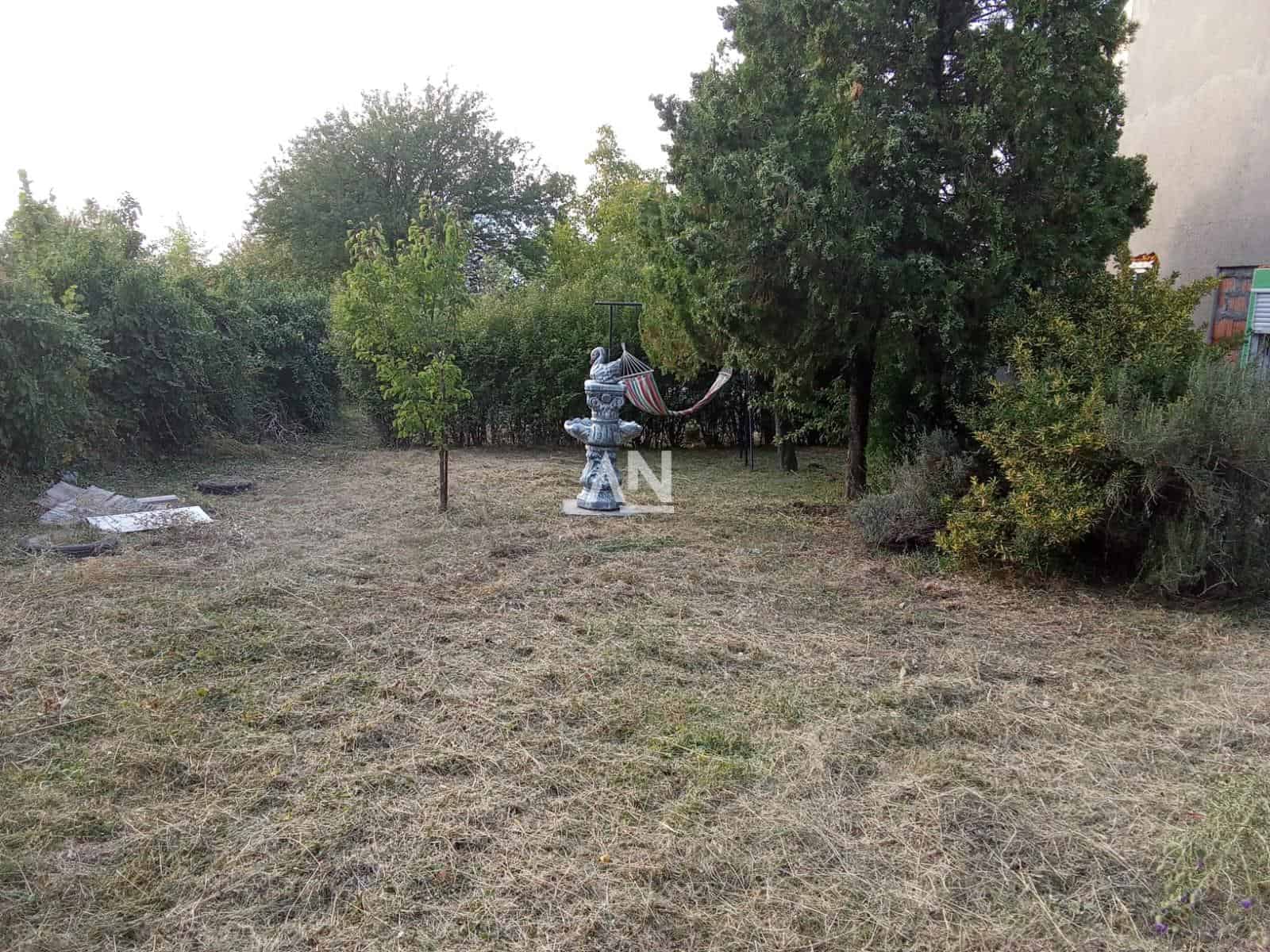 IMG-20240805-WA0010