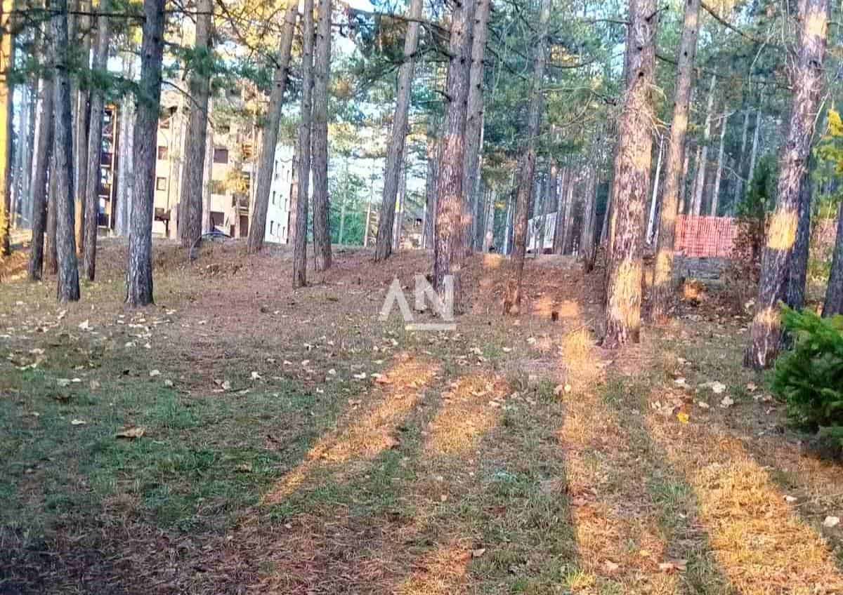 1000017784