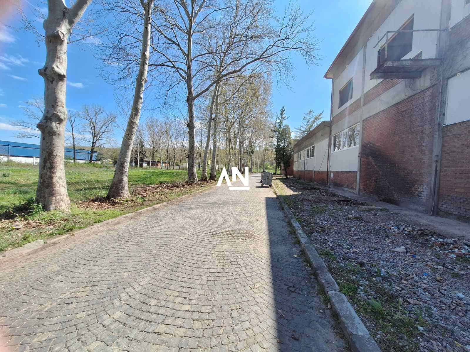 IMG-e7716cecdcb24b67b39ccdf280bb7c75-V