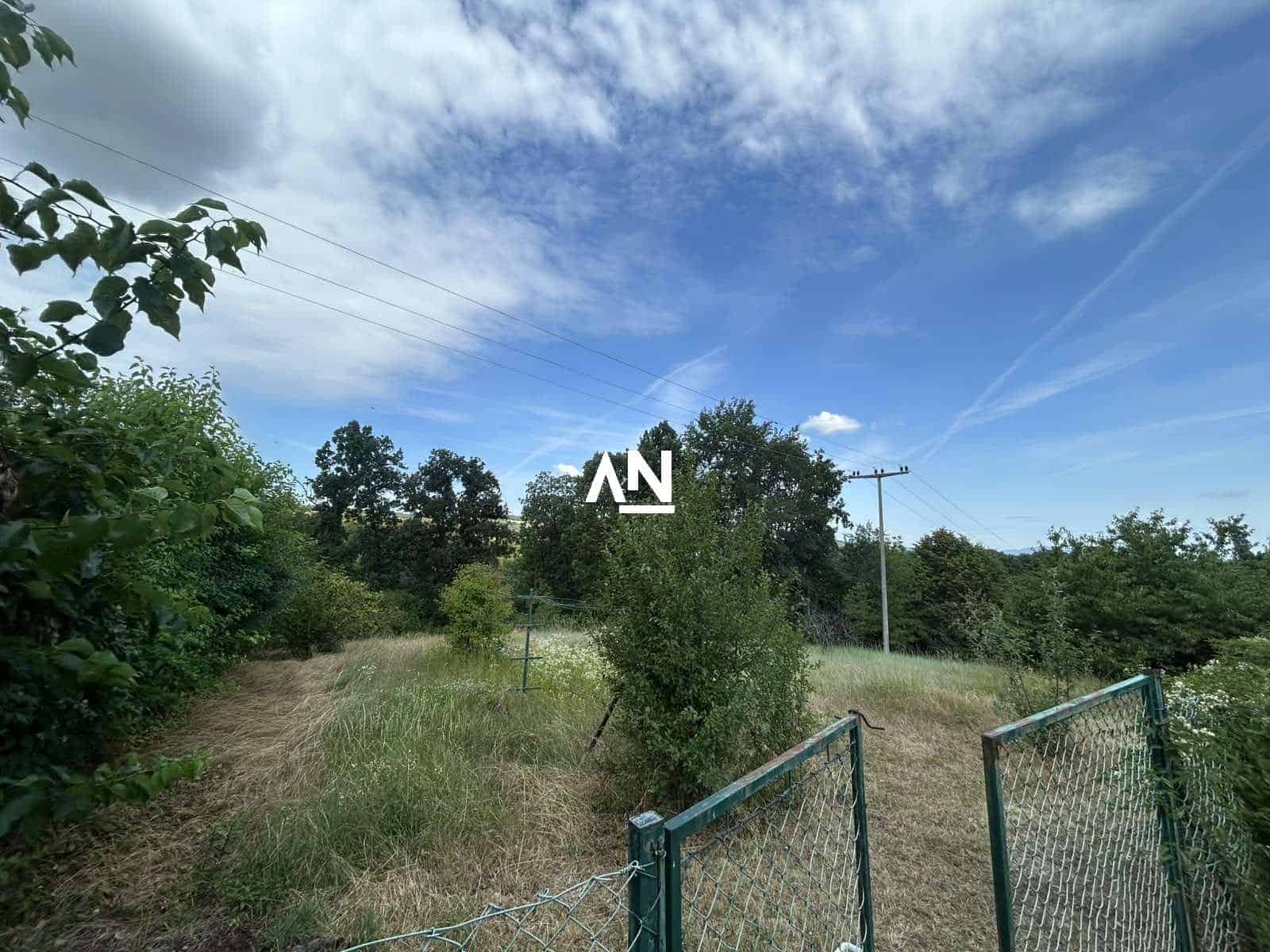 1000045729